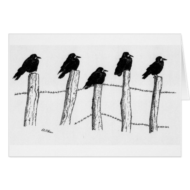 Jackdaws (Voorkant Horizontaal)