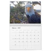 Jackie & Shadow - Calendrier de l'aigle à gros our (Feb 2027)