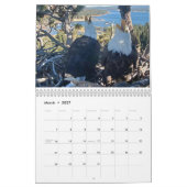 Jackie & Shadow - Calendrier de l'aigle à gros our (Mar 2027)