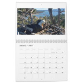 Jackie & Shadow - Calendrier de l'aigle à gros our (Jan 2027)