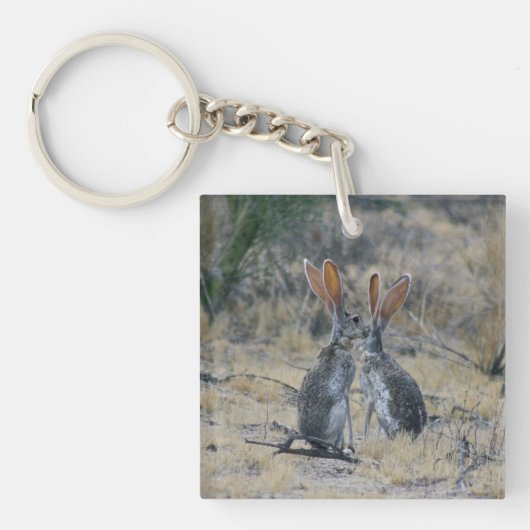 Jackrabbits Acryl Sleutelhanger (voorkant)