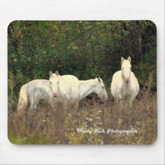 Jack's Fork Wild Horses Muismat