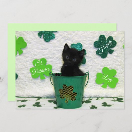 Jack's St. Patrick's Day Cat/Kitten - Flat Kaart (Voorkant / Achterkant)