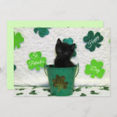 Jack's St. Patrick's Day Chat/ Kitten - Carte Plat (Devant / Derrière)
