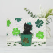 Jack's St. Patrick's Day Chat/ Kitten - Carte Plat (Debout devant)