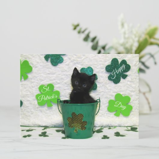 Jack's St. Patrick's Day Chat/ Kitten - Carte Plat (Debout devant)