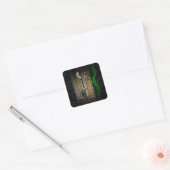 Jacks Trick or Treat sticker (Envelop)