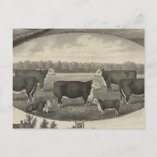 Jackson Boerderij, Kansas Briefkaart