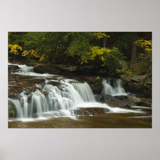 Jackson Herfsten, NH Print (Voorkant)