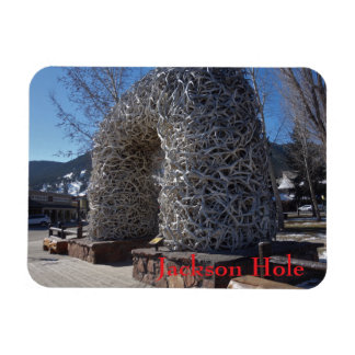 Jackson Hole Wyoming Geweiarches Magneet