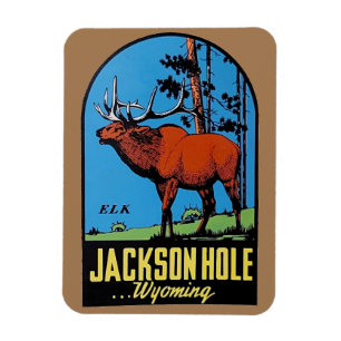 Jackson Hole, Wyoming Magnet Magneet