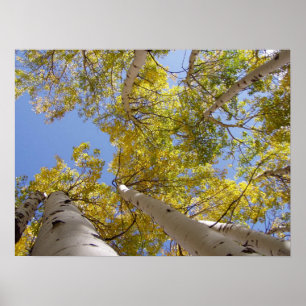 Jackson Hole Wyoming serie Poster