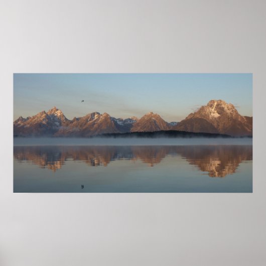 Jackson Lake Dam Reflection in Grand Teton Park Poster (Voorkant)
