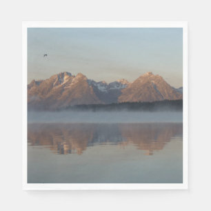 Jackson Lake Dam-weerkaatsing in Grand Teton Park Servet