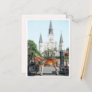 Jackson Square New Orleans Paard Foto Briefkaart