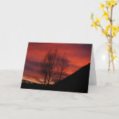 Jackson Sunset kaart (Gele Bloem)