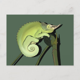 Jackson's Chameleon Briefkaart
