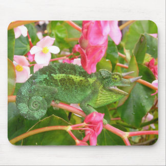 Jackson's Chameleon Mousepad Muismat