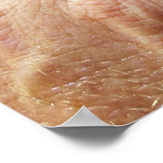 Jackson's Chameleon Poster (Hoek)