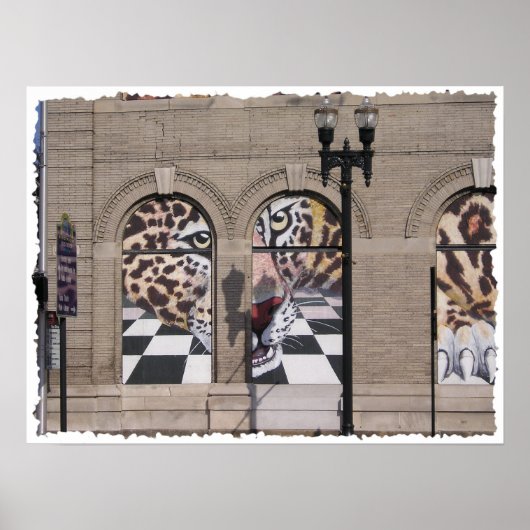 Jacksonville Jaguar Mural Poster (Voorkant)