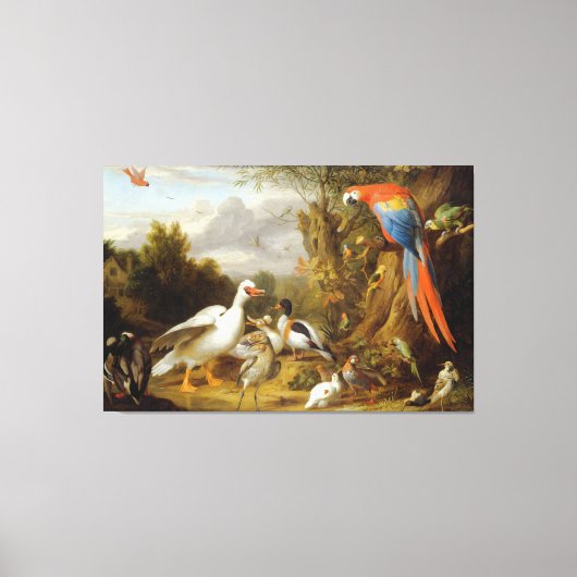Jacob Bogdani A Macaw Ducks Parrots and Other Bird Canvas Afdruk (Voorkant)