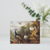 Jacob Bogdani Peacock Peahen Parrots Canary Briefkaart (Staand voorkant)