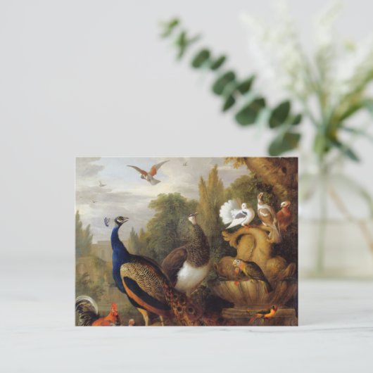 Jacob Bogdani Peacock Peahen Parrots Canary Briefkaart (Staand voorkant)