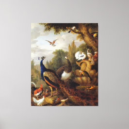 Jacob Bogdani Peacock Peahen Parrots Canary Canvas Afdruk