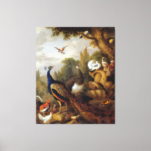 Jacob Bogdani Peacock Peahen Parrots Canary Canvas Afdruk