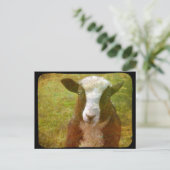 Jacob Lamb Briefkaart (Staand voorkant)