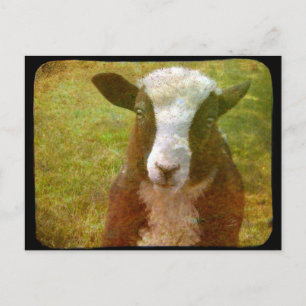 Jacob Lamb Briefkaart