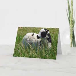 Jacob Ram Lamb Easter Kaart