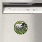 Jacob Ram Lamb Magneet (Insitu (Vaatwasser))