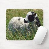 Jacob Ram Lamb Muismat (Met muis)