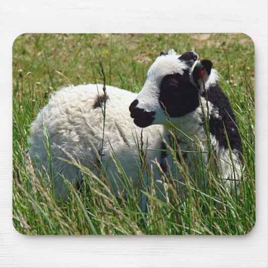Jacob Ram Lamb Muismat (Voorkant)