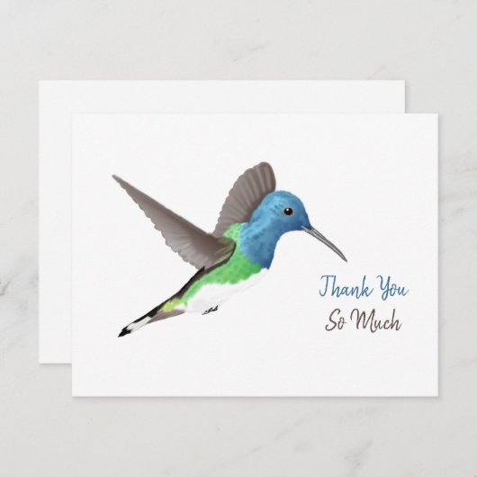 Jacobin Hummingbird, transparant. Hartelijk dank Bedankkaart (Voorkant / Achterkant)