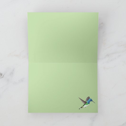 Jacobin Hummingbird, transparant. Kaart (Binnen)