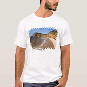 Jacob's Ladder Bay T-shirt