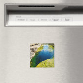 Jacobs Well magnet Magneet (Insitu (Vaatwasser))