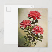 Jacqueminot Roos door Frederick Martin Briefkaart (Voorkant / Achterkant)