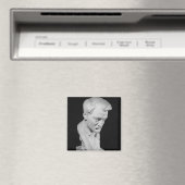 Jacques Maritain Magneet (Insitu (Vaatwasser))