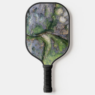 Jade Green Mosachtige Strandstenen Toowoon Bay Pickleball Paddle