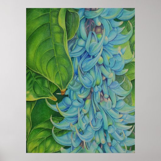 Jade Vine Poster (Voorkant)