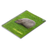 J'adore le cahier des capybaras (Côté gauche)