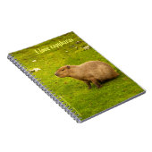 J'adore le Cahier des capybaras (Côté Droit)