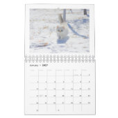 J'adore le calendrier des chats 2026 (Jan 2027)