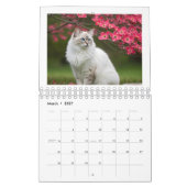 J'adore le calendrier des chats 2026 (Mar 2027)