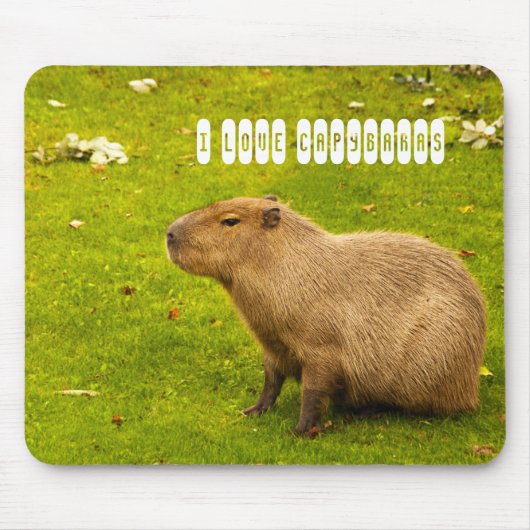 J'adore le Tapis de souris Capybaras (Devant)