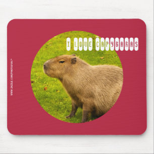 J'adore le Tapis de souris Capybaras