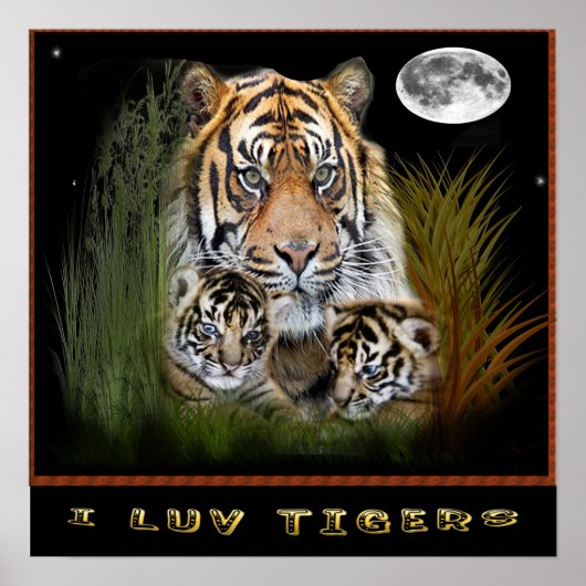 J'adore les affiches de tigres (Devant)